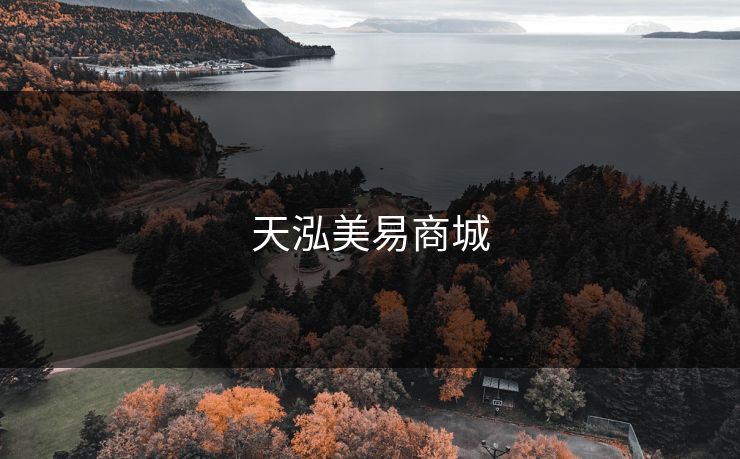 天泓美易商城